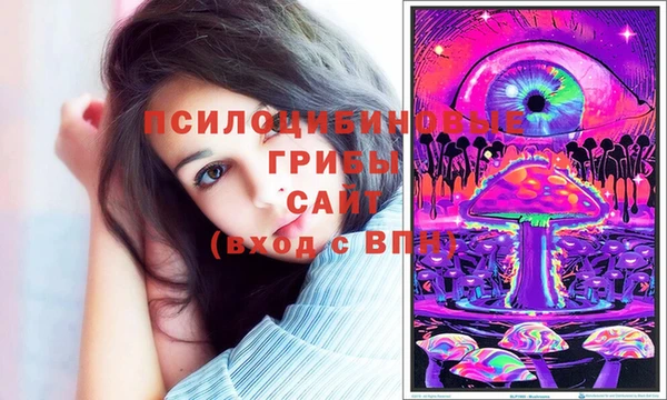 MDMA Богородицк